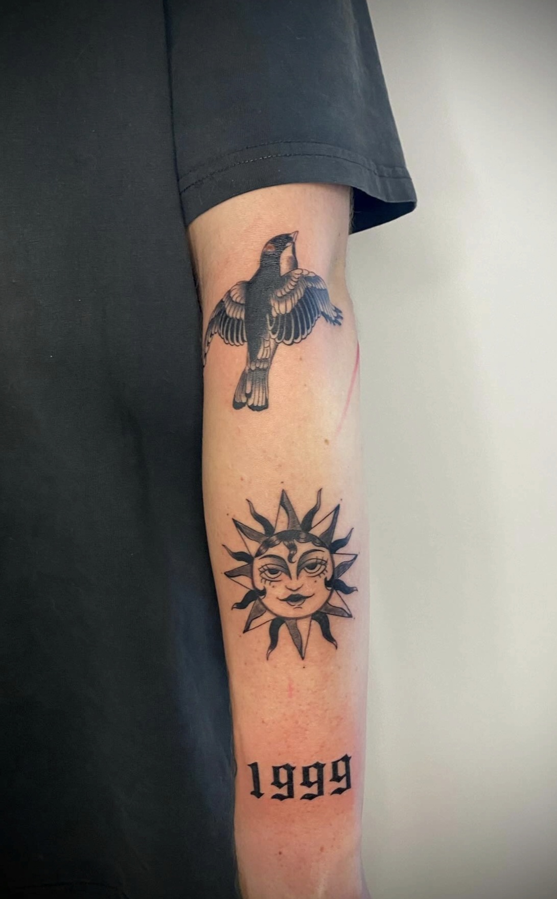 Vogel, Sonne & 1999 – Traditional; Artist-Zuordnung: Platzhalter